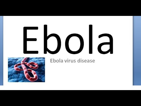 Video: Heparaansulfaat Is Een Belangrijke Mediator Van Ebola-virusinfectie In Gepolariseerde Epitheelcellen