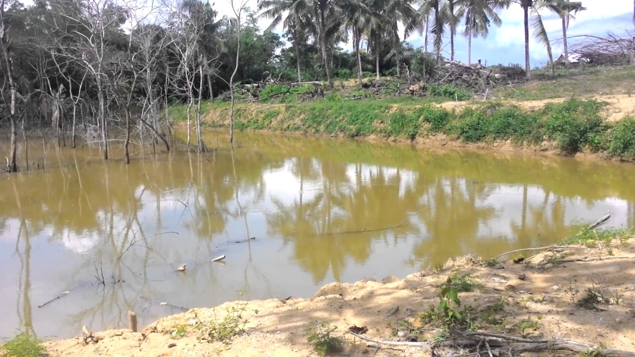 Bendungan Mini Bagian Utara