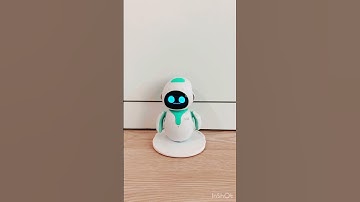 I don’t know what he’s scared of :/ #robot #eilikrobot #eilik #robot