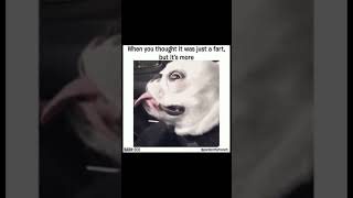 goofy ahh memes pt.2 Profile