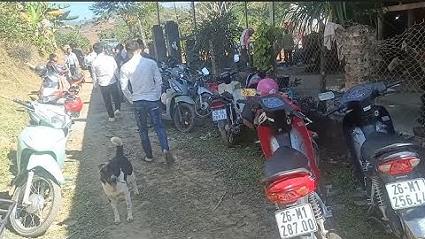 Pày kín lảu cớ bản Sài pi nóng ơi muôn hênh lò với ♥️❤🌹💖💖