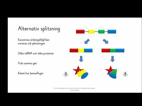 Video: Genregleringsnät Om överföringsentropi (GRNTE): En Ny Metod För Att Rekonstruera Genreglerande Interaktioner Tillämpade På En Fallstudie För Växtpatogen Phytophthora Infestans