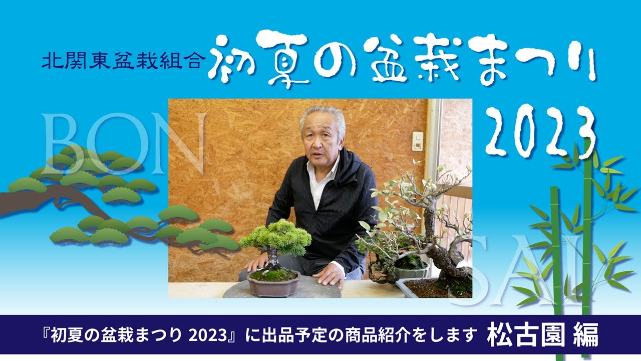 北盆】初夏の盆栽まつり出品予定ー商品紹介 松古園 - YouTube