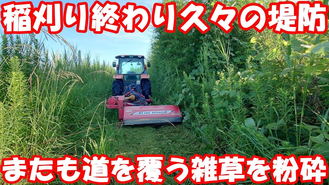 放置された堤防道。通行可能にするための草刈り。