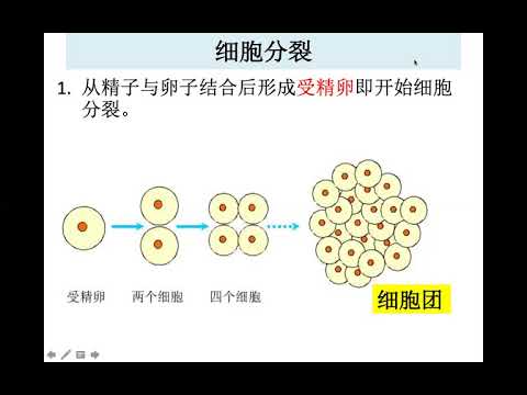 植物细胞和人体细胞有何不同问答题？