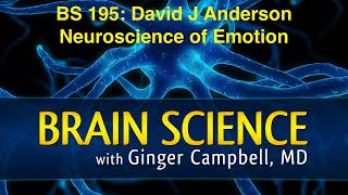 BS 195 Neuroscience of Emotion with David Anderson