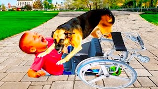 When Mom Saw What The Dog Did To Her Disabled Son, She SCREAMED! by AMAZING STORIES 1,837 views 7 days ago 17 minutes