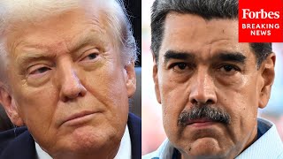 'He's Blowing Them Up With No Due Process': DWS Tears Into Trump Over Strikes On Alleged Narcoboats