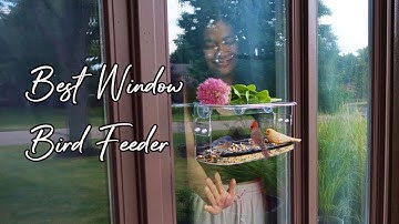 Beautiful Acrylic Window Bird Feeder Large View Clear Bird Feeder by Ermete