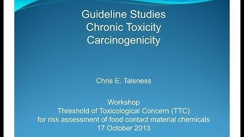 4. Dr. Chris E. Talsness: Chronic toxicity testing