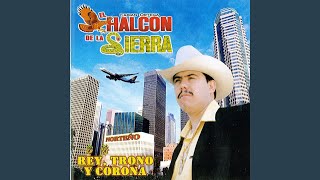 Video thumbnail of "El halcón de la sierra - Flor De Capomo"