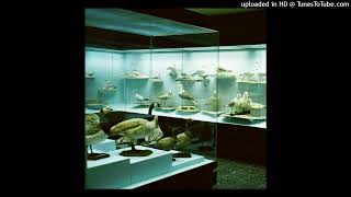 Yogg - Don T Youpolarized Future