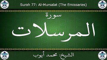 القرآن الكريم بصوت محمد أيوب - سورة المرسلات