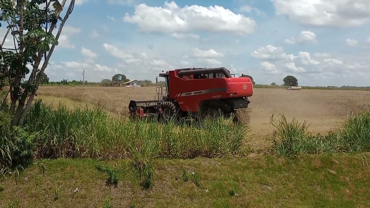 colheitadeira muita soja, Maquinário em ação.