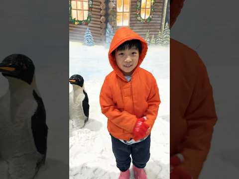 เพนกวินเมืองหิมะ #penguin #น้องปลาวาฬ #funny #cute #shorts