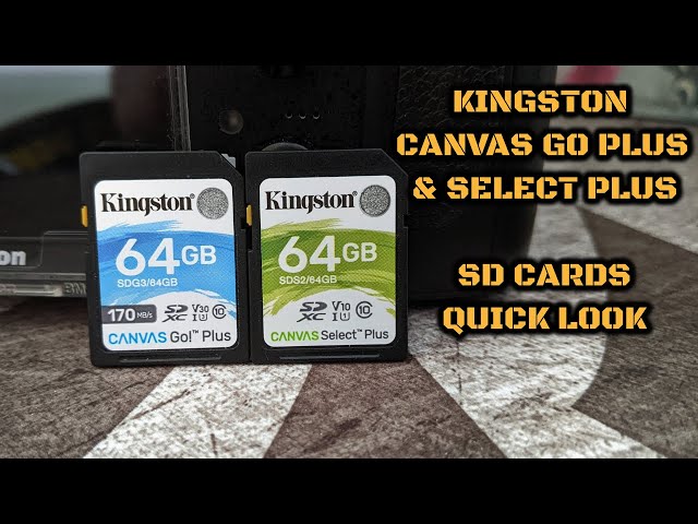 Kingston Canvas Go Plus 64GB Micro SD Card