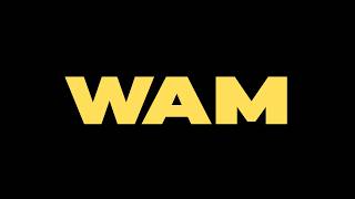 Real-Time Pallet Tracking with WAM™