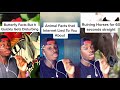 Roasting Nature for 11 minutes Straight (Mndiaye_97 Compilation)