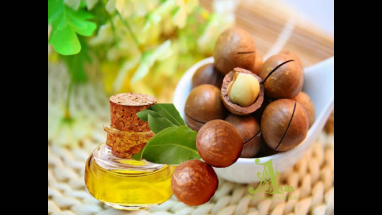 Масло ореха для волос. Macadamia Seed Oil. Орешки макадамия масло. Макадамия трехлистная. Макадамия орех жожоба.