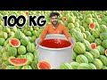 100 kg watermelon  how much juice       