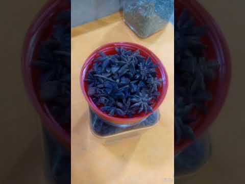 عشبة بديانة او نجمة الارض