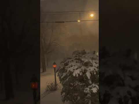 Ocean City  NJ Blizzard Feb 2026