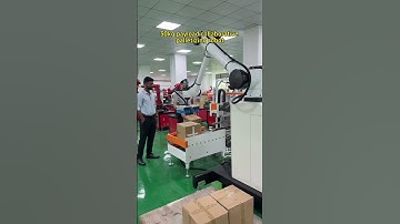 Collaborative palletizing robot#industrial robot