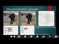 Steganography Research Insights by Hunter Mays ๐