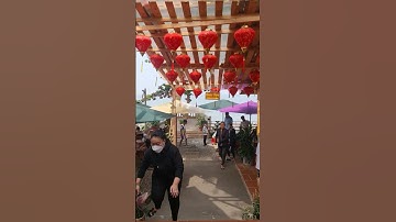 Quán cafe MI AMOR BEACH Vũng Tàu.