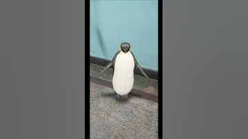 Penguin Google 3d