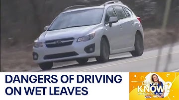 Dangers of driving on wet leaves | FOX 7 Austin