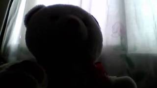 Capture 20110219