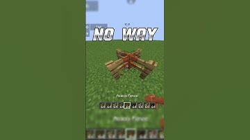 No Way #minecraft #views #viralshort