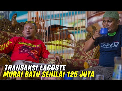 APLIKASI JUAL PULSA YANG SERING KONTER2 BESAR GUNAKAN. 