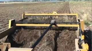 Double L 4-Row 951 Potato Windrower