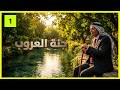 شيوخ العروب -  اسم يجمع بين أصل السكان وطبيعة المكان  | جلسة حوارية