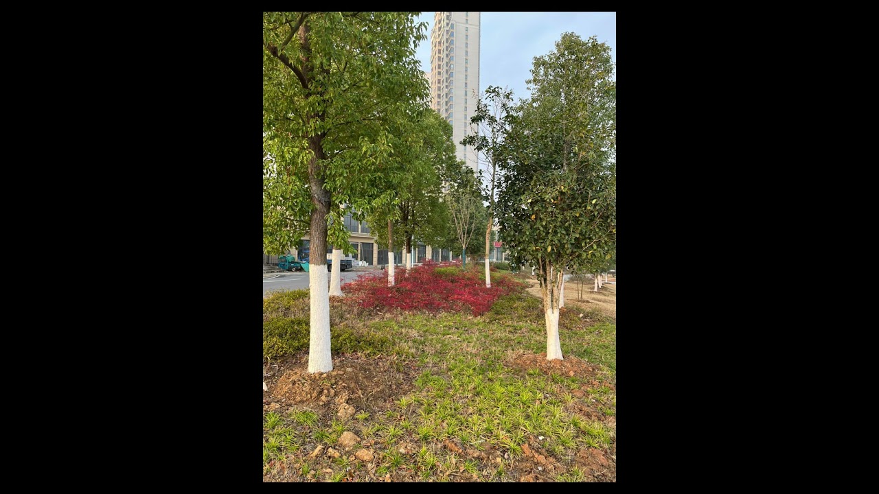 Unconditional Love: A Story of Shared Humanity