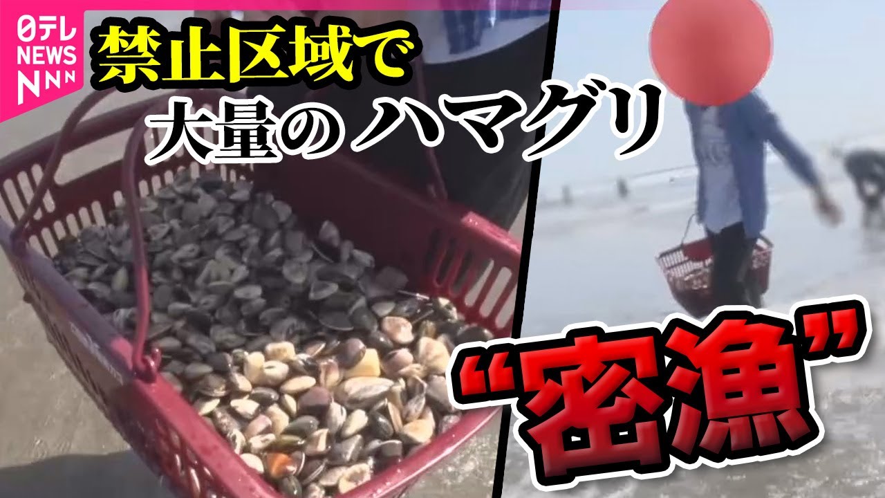 【密漁・不法投棄】「俺、違反じゃない」後を絶たないハマグリの“密漁” 懲役刑や罰金刑の可能性も… /「カキ殻」河川敷に不法投棄　地元住民「多くは中国人」禁止条例制定