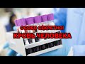 ОСОБО СЕКРЕТНО! КРОВЬ ЧЕЛОВЕКА