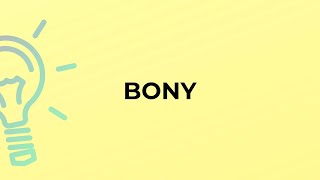 What is the meaning of the word BONY?