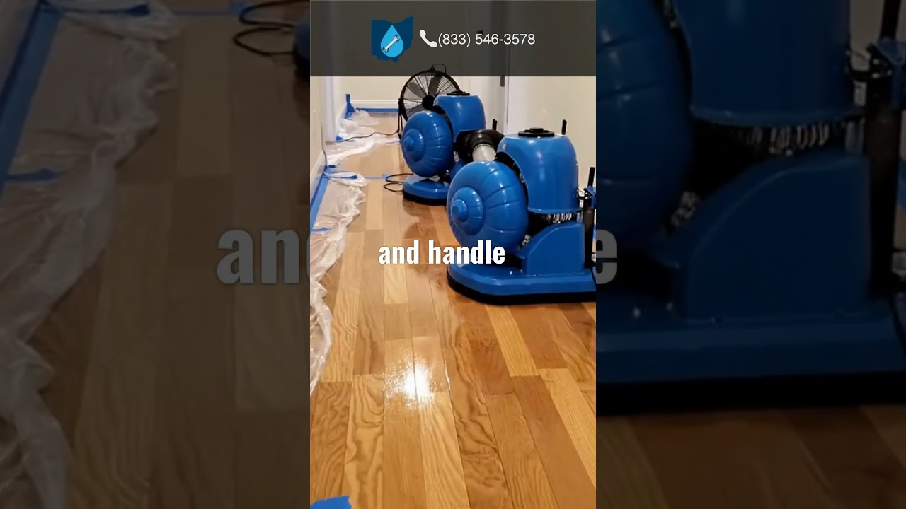 Ceiling Leak Water Damage Cincinnati - Repair Experts