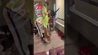 BCSO Bondable Pup Inmate Trainers Visit Shelter Cats