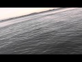 千葉県北東部地震 これって津波?