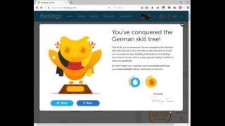 I just completed the german skill tree with all lessons at gold level
and took progress quiz. scored 4.24/5.00 in highly recommend
duolingo...