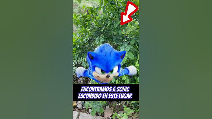 Encontramos a Sonic 😱😱