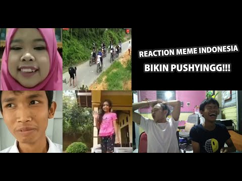 reaction-meme-indonesia-bikin-pushyingg!!!