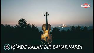 İçimde Kalan Bir Bahar Vardı Resmî Müzik 