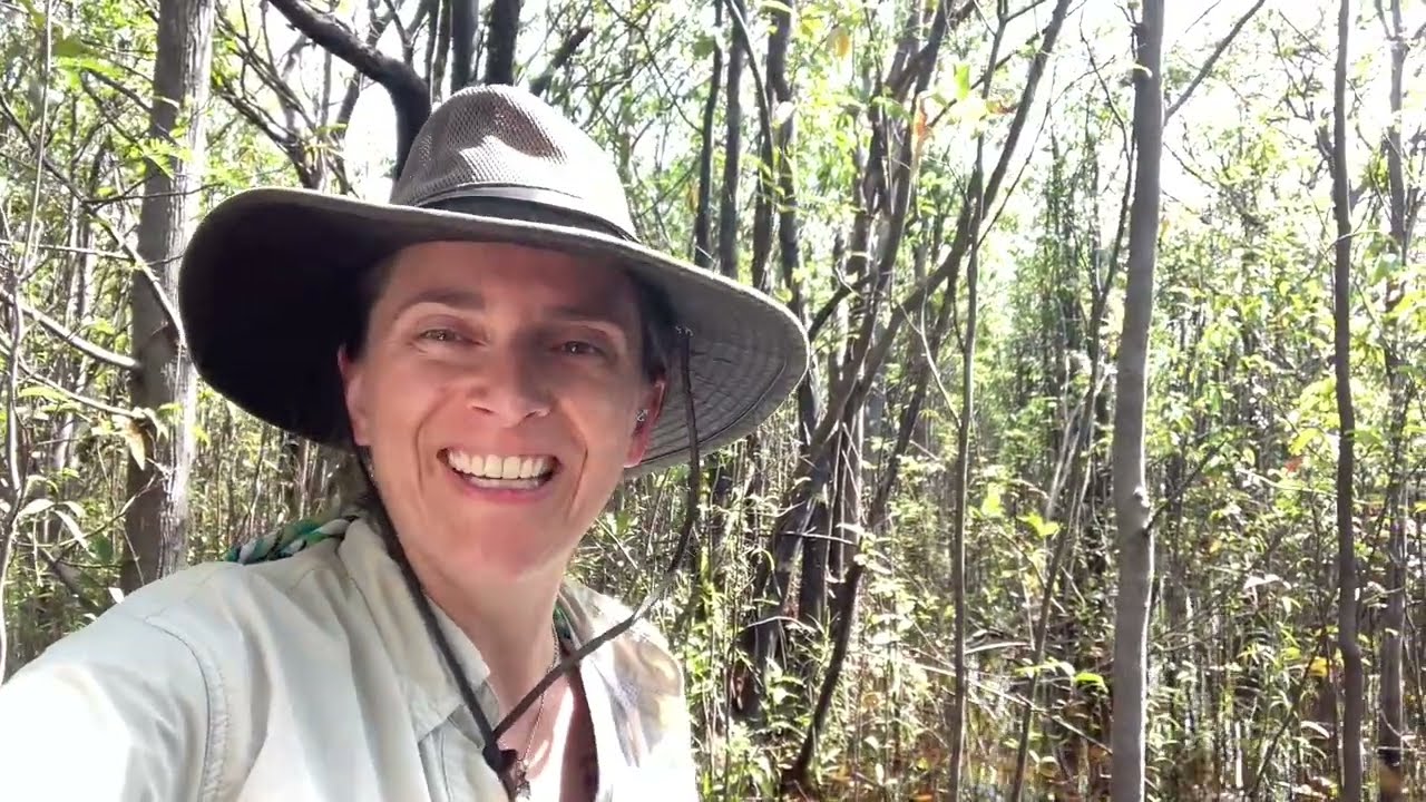 Site Intro and Habitat Feature: Igarape Panemâo