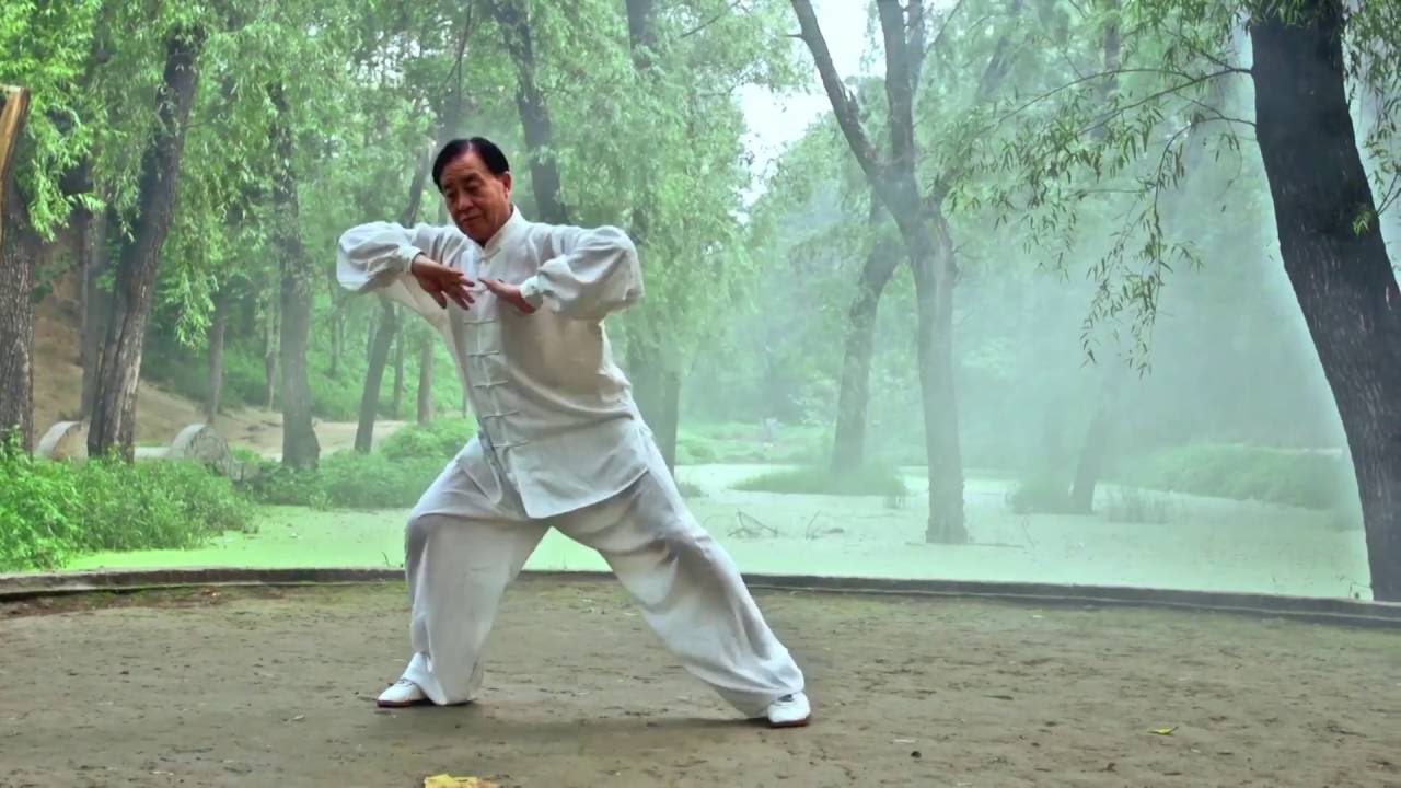 TaiChi Chen: Forma 13 Maestro Zhu Tian Cai Chenjiagou. - YouTube