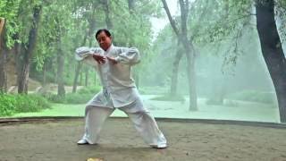 TaiChi Chen: Forma 13 Maestro Zhu Tian Cai en Chenjiagou.